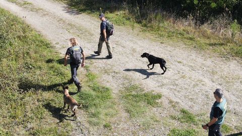 Los investigadores utilizan perros para intentar descubrir los cuerpos de los dos desaparecidos