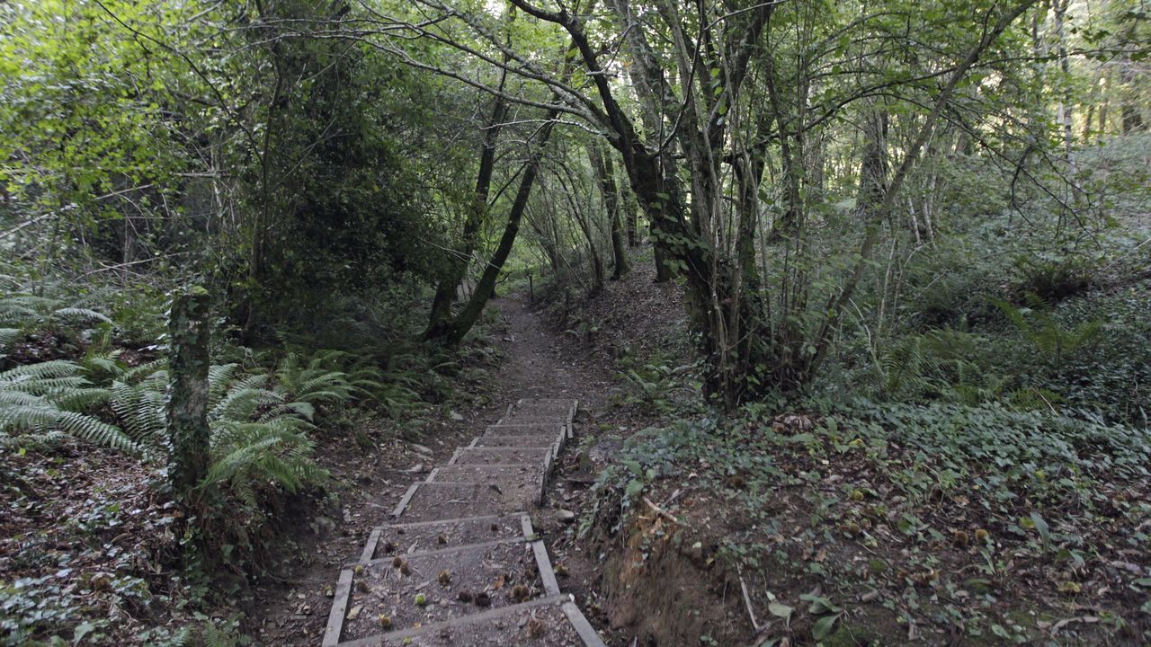 Plaza de Azcrraga de A Corua