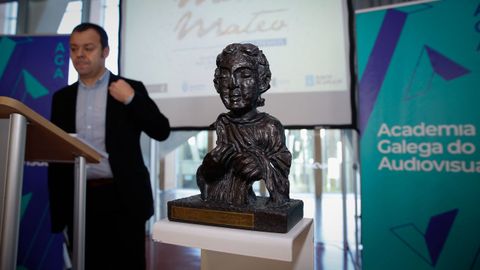 Los premios Mestre Mateo se entregarán el próximo 2 de marzo en A Coruña