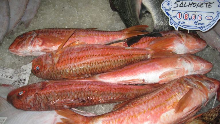 Salmonetes en una pescadería gallega (imagen de archivo)