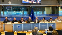 Científicos, eurodiputados y representantes de la pesca y de oenegés analizaron en la Eurocámara la sostenibilidad de la pescxa