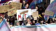 Manifestacin del colectivo transgnero en Santiago paraexigir la aprobacin de la nueva ley