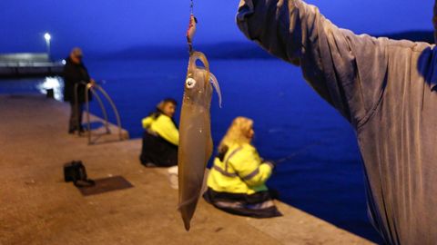 Imagen de archivo de un pescador mostrando un calamar que captur en un puerto de la Costa da Morte