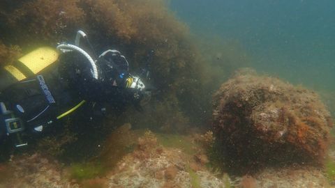 Imagen de archivo de una inmersión de los buzos en la zona donde están los restos la fragata Magdalena, en la ría de Viveiro