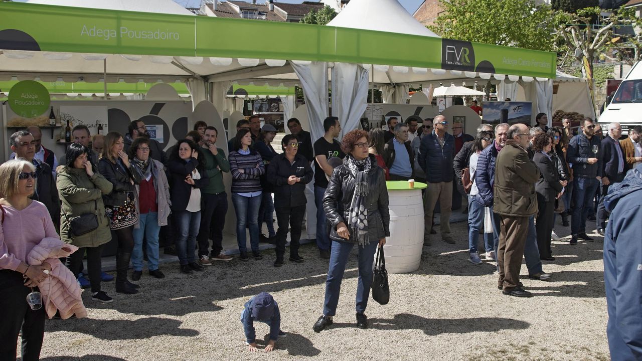 Adeus ao entroido de Lugo 2022.Imagen de archivo de una edicin de la Feira do Vio do Ribeiro