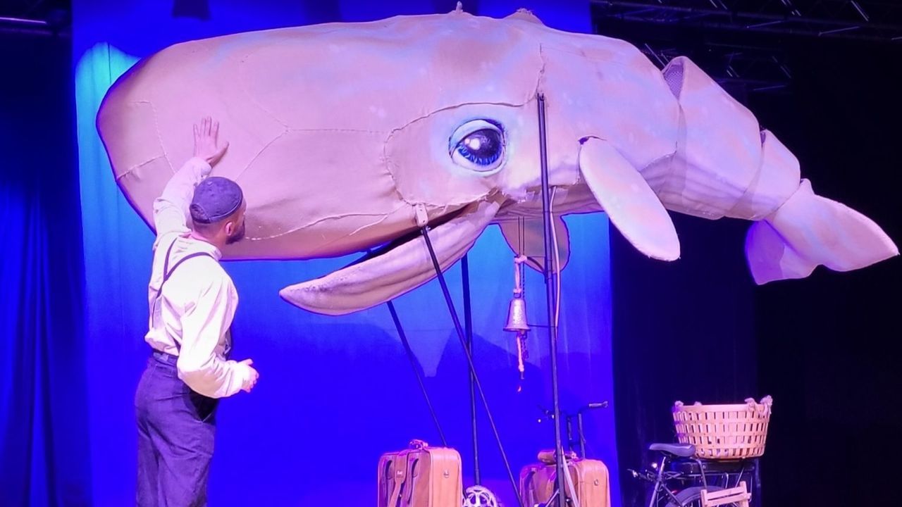 Moby Dick, de la compa&ntilde;&iacute;a Pedras de Cart&oacute;n, es una adaptaci&oacute;n libre y visual del cl&aacute;sico de Herman Melville. Destaca por la presencia de un impresionante cachalote articulado de tres metros. 