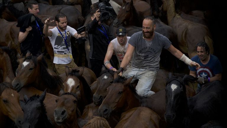 Una experiencia inmersiva para sentir la Rapa das Bestas: «Trabajamos con un estímulo olfativo con olor a hierba recién cortada y a animal»