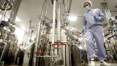 El proceso de producción de una vacuna es complejo y costoso. En esta planta se está fabricando el antígeno de la vacuna de Novavax.