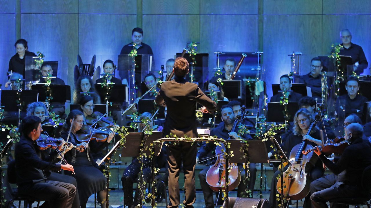 La Real Filharmon&iacute;a de Galicia estar&aacute; en el programa del Teatro Afundaci&oacute;n