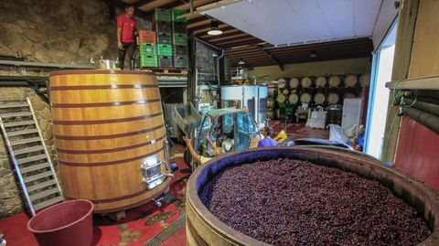 Depósitos para la elaboración de vinos de crianza en Adega Guímaro