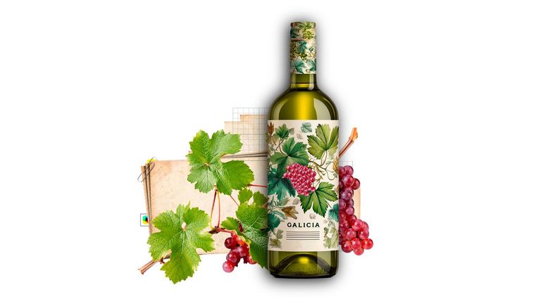 Galicia, uno de los pocos territorios que continúa plantando viñedo