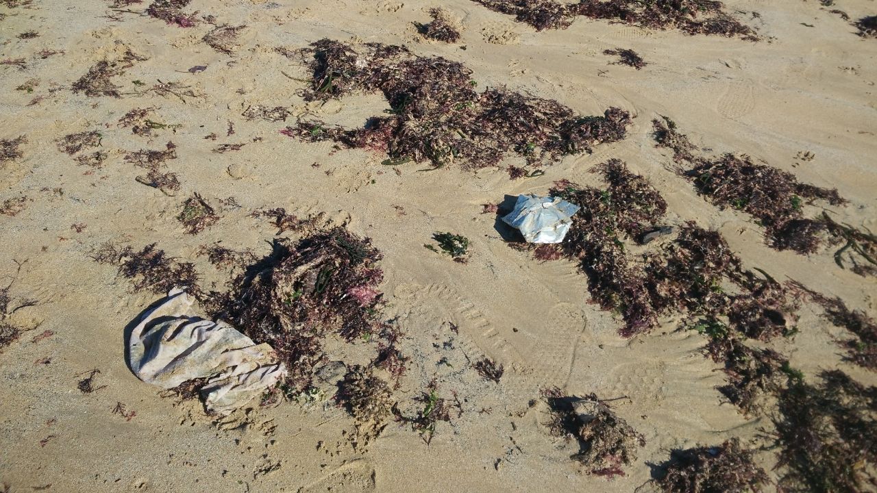 Basura arrastrada por la marea a la playa de San Lorenzo de Gijn.Bolsas de plstico