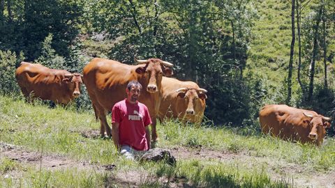 José Manuel ha crecido entre vacas. Basta observar cómo las mira para entender su forma de trabajar. 