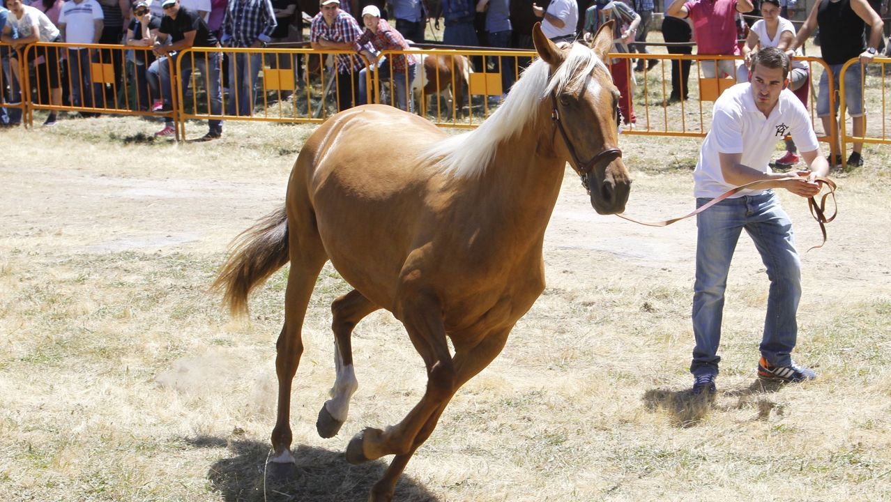 Preg�n de las fiestas de San Xo�n de Sarria