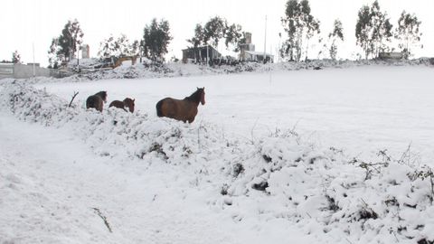 Nieve en Montesalgueiro