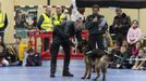 Exhibición solidaria de la Guardia Civil en Vimianzo: ¡las imágenes!