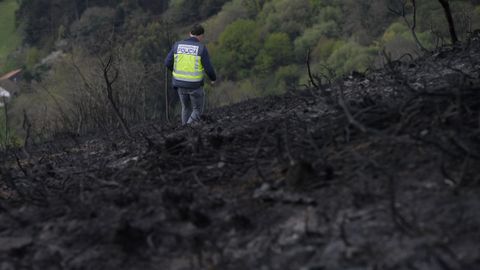 Un miembro de la Polica Cientfica filma la zona arrasada por el fuego en la cima del Monte Naranco