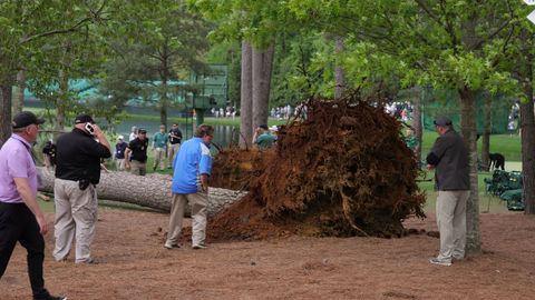 The fall of several trees caused the suspension of the day of the August Masters