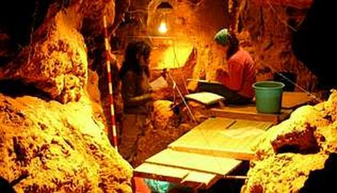 Los restos de neandertal hallados en la cueva de El Sidrn permitieron determinar el genoma de un individuo