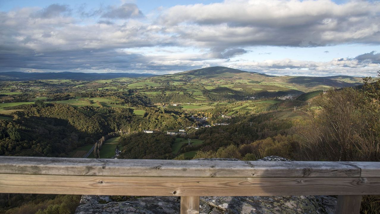 Bscate en la Festa do Porco Celta en Sarria.Vendimia en la via de Camio Novo, de la que sale el vino destcado por la Gua Pen