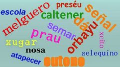 Concurso escolar de palabras en asturiano organizado por la Consejera de Educacin.Concurso escolar de palabras en asturiano organizado por la Consejera de Educacin 