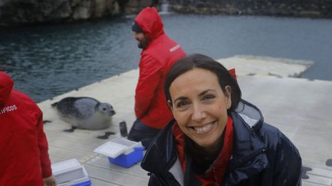 El Aquairum Finestarrae de A Coruña ofrece una actividad de aventura con las focas