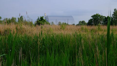 Azbuchyn lake, Zona de Exclusin de Chernobyl. Zona de charcas a slo un kilmetro de la central nuclear, que se ve al fondo. Mayo de 2019. Autor: Germn Orizaola

