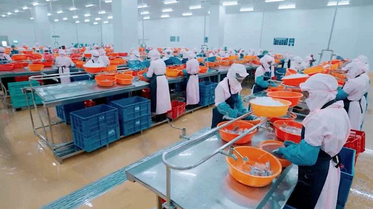 La empresa de Vigo pone el ojo en la India: «Es una oportunidad relevante»