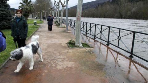 Inundaciones en la provincia de Ourense.La crecida del Sil ha inundado un centenar de casas en O Barco de Valdeorras, adems de fincas, huertas y el Malecn