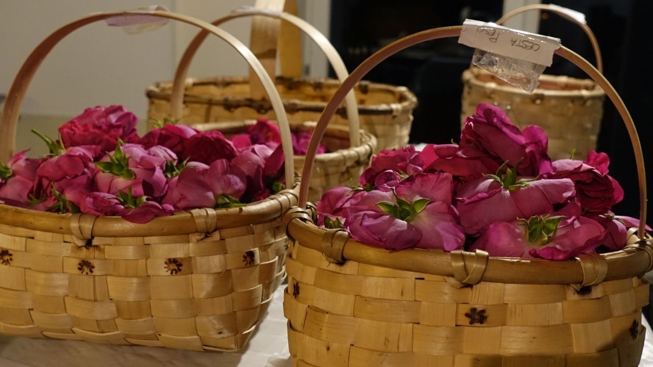 Cestas artesanas utilizadas en la recolección de la rosa narcea