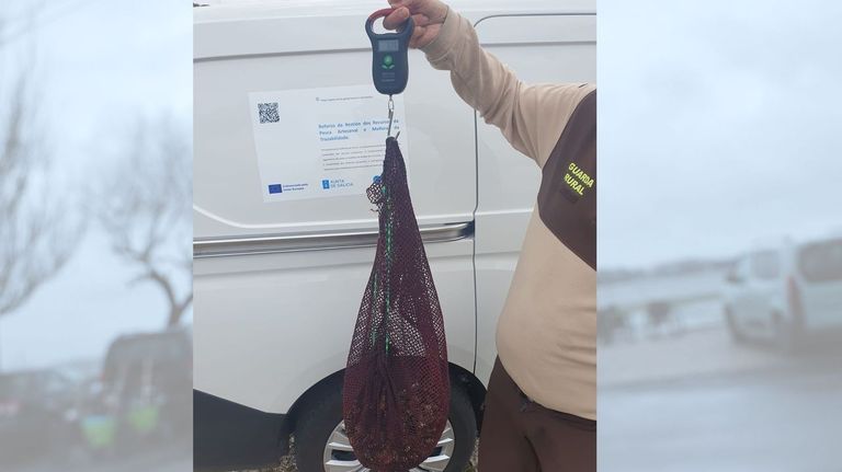 Decomisan 40 kilos de percebes, algunos ocultos en bolsas, en el inicio de la campaña en O Roncudo
