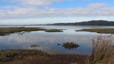 La ensenada de O Bao reúne las condiciones idóneas para ser el mayor humedal para las aves migratorias marinas en Galicia