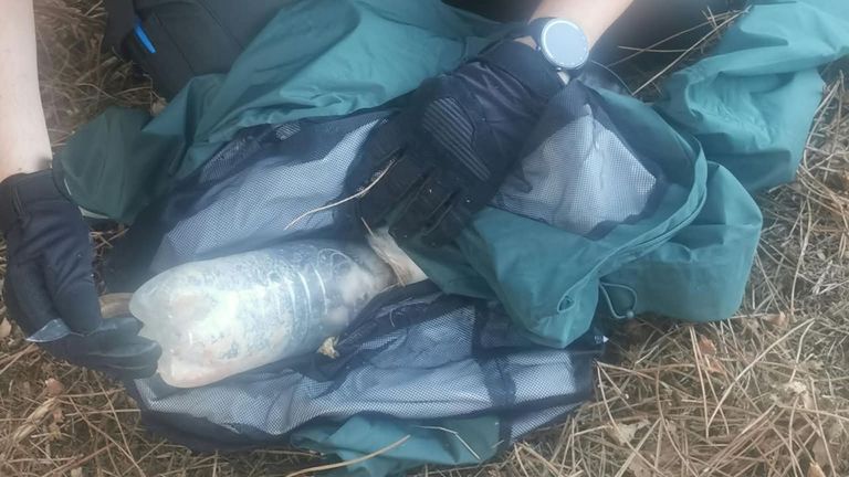 Rescatan en Portomarín a un gato que tenía la cabeza atrapada dentro de una botella