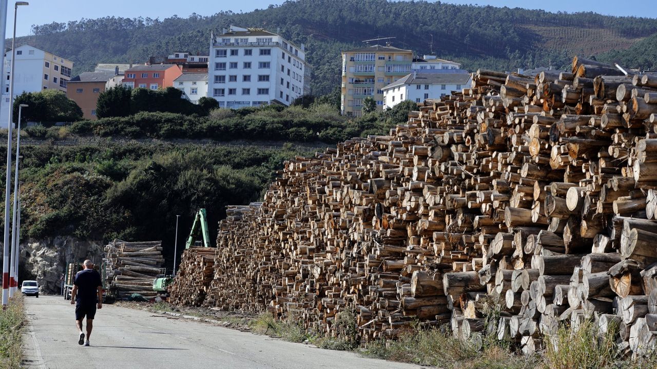 Madera de eucalipto apilada en Burela, en imagen de archivo
