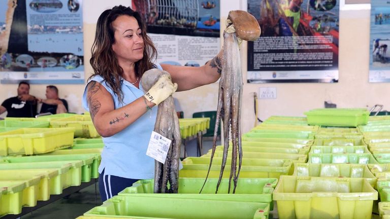 Últimos días para darse un homenaje con el pulpo gallego fresco