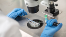 Imagen de archivo del procedimiento de fecundaci�n in vitro.