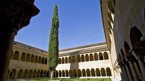 Ciprs del monasterio de Santo Domingo de Silos al que cant el poeta Gerardo Diego