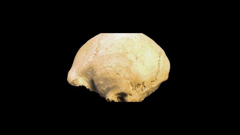 Agamenón Y Miguelón Se Reúnen 24 Años Después De Salir De Atapuerca 0356