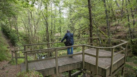 Un mirador sobre el arroyo en la parte central del recorrido