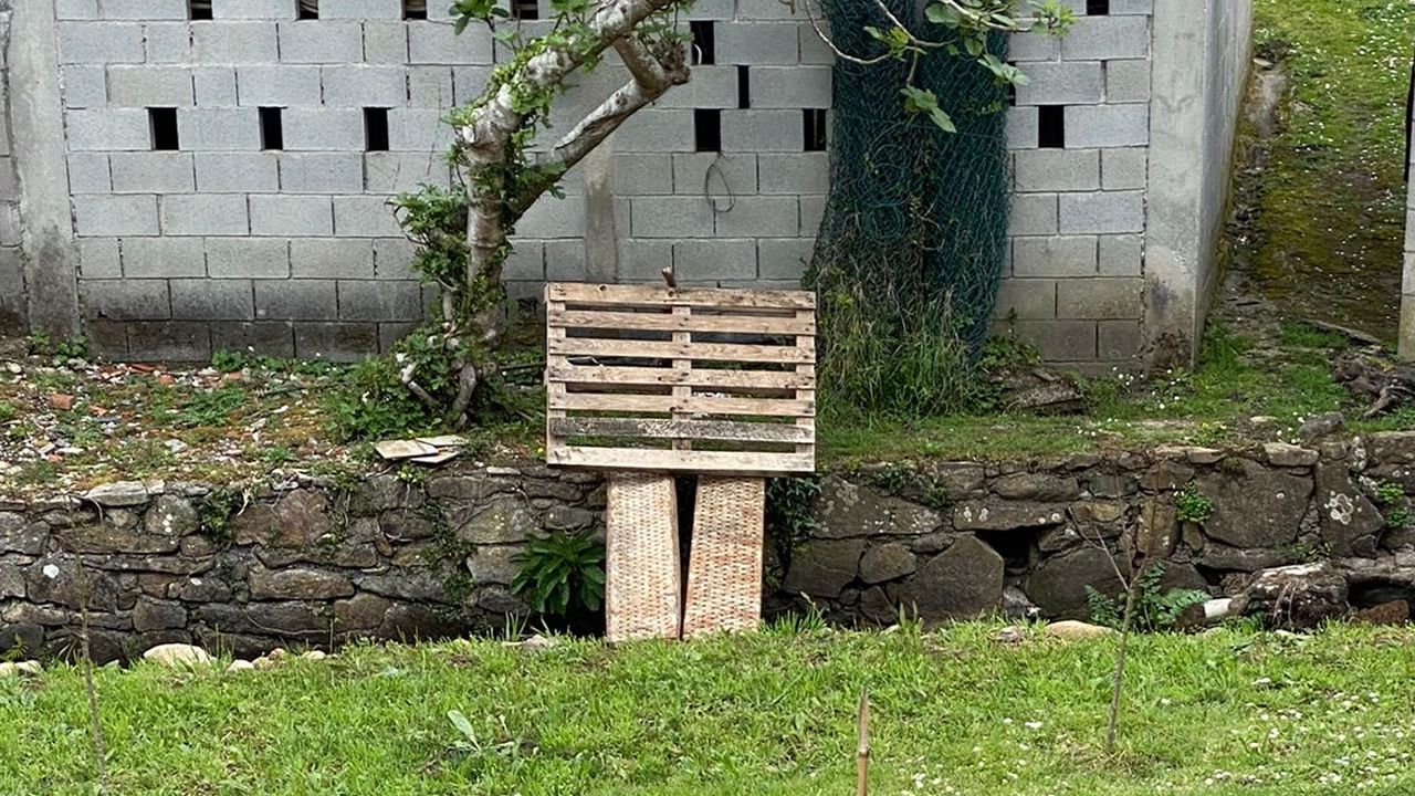 Pescados y mariscos para�Nochebuena.Cruz e arco da vella. 4/11/2021