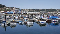 Bueu es el principal puerto polbeiro de la ra de Pontevedra y el ms afectado por la escasez de cefalpodo