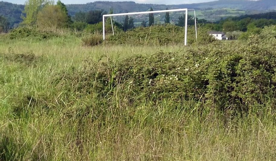 El campo de Armea se encuentra en un p�simo estado.