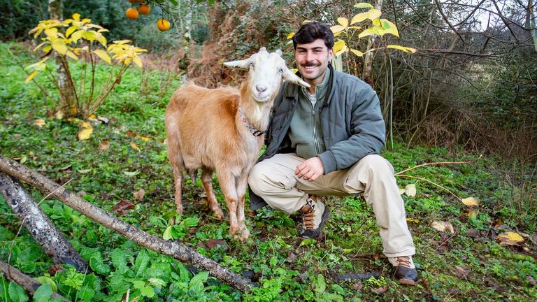 «Somos Animais»: o programa que ensina a entender as mascotas