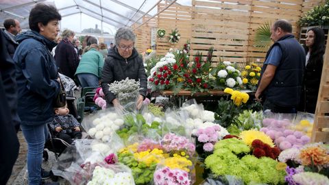 La flor de Difuntos también es gallega