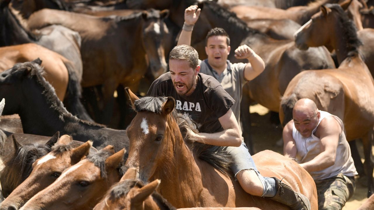 Rapa das Bestas de Sabucedo.