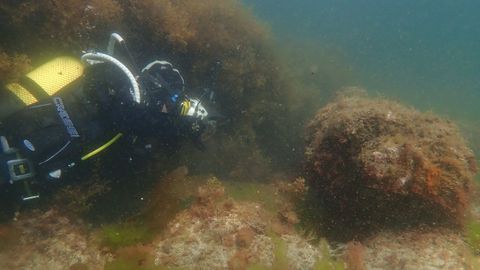 Cata arqueológica en la ría de Viveiro