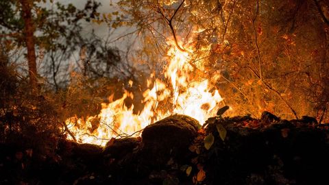 Incendio en el concello de Parada de Sil. Las llamas llegaron a diferentes partes del municipio
