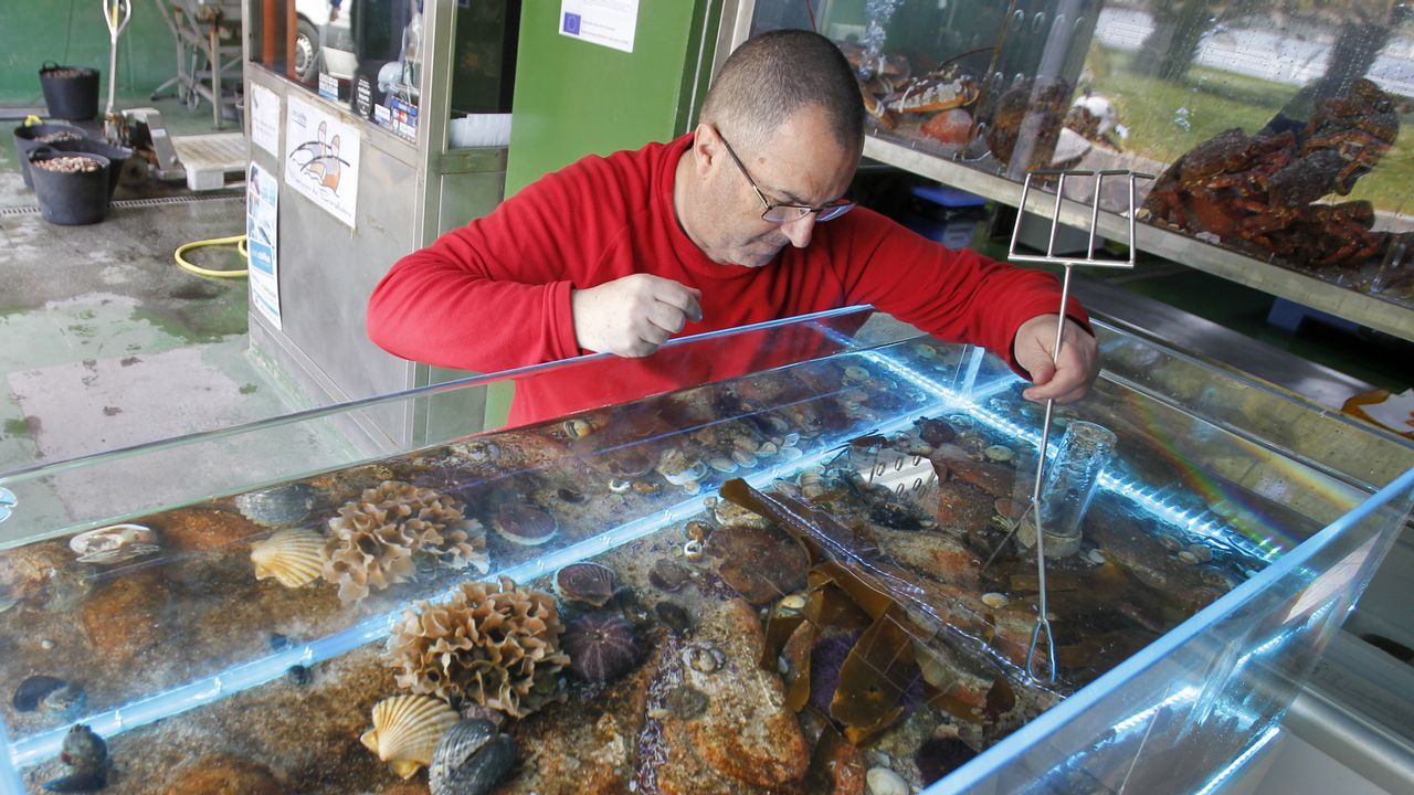 Ourense saca sus armas contra el cambio climtico en Galiciencia.Una musaraa encontrada en Santa Comba