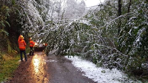 Los voluntarios de Pola de Lena ayudando a retirar los rboles cados por la nevada