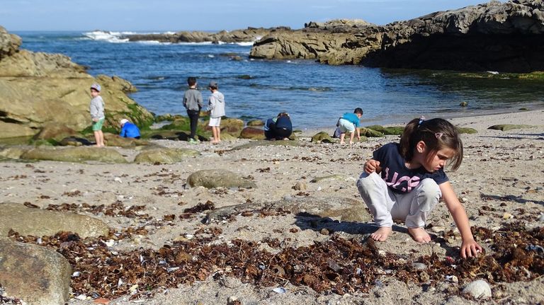 Una niña recogiendo plasticos en la playa